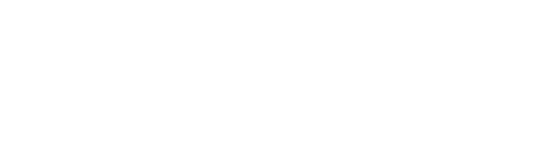 Falcon Consulting